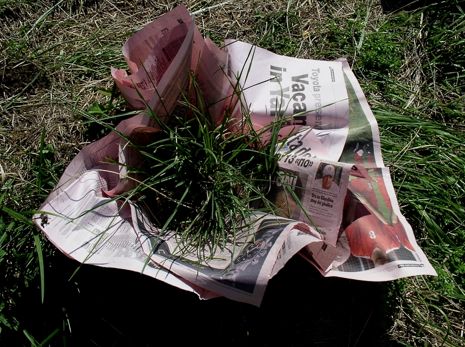 Ivano Vitali - Pagine di quotidiani piantate nel campo -