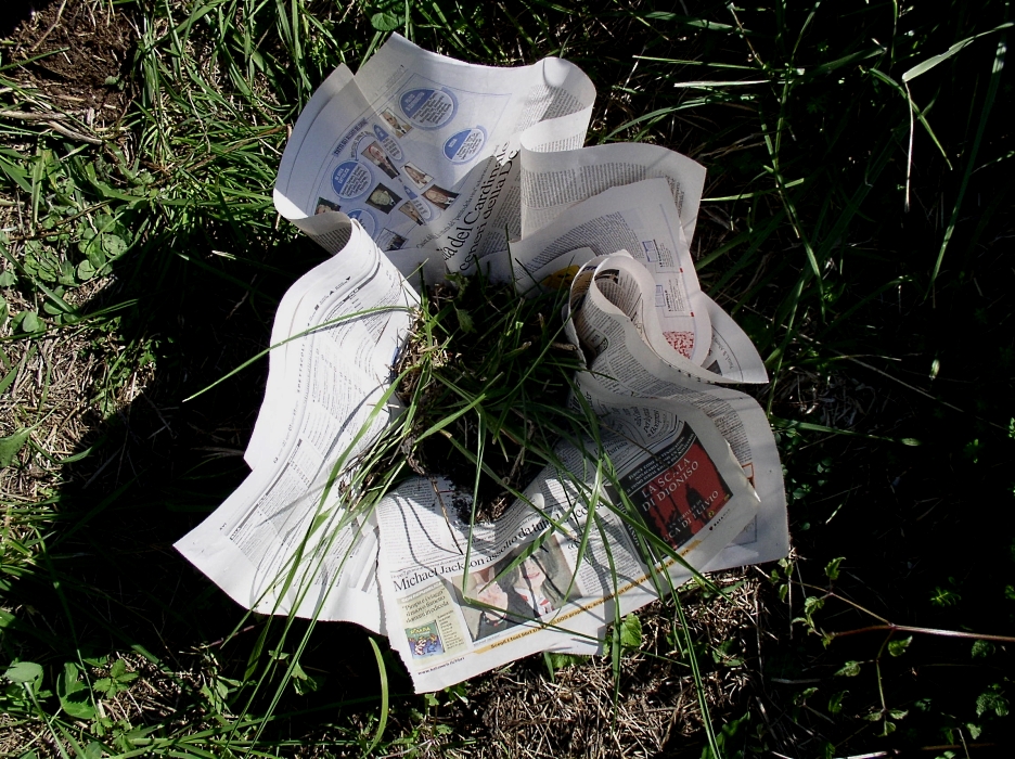 Ivano Vitali - Pagine di quotidiani piantate nel campo -