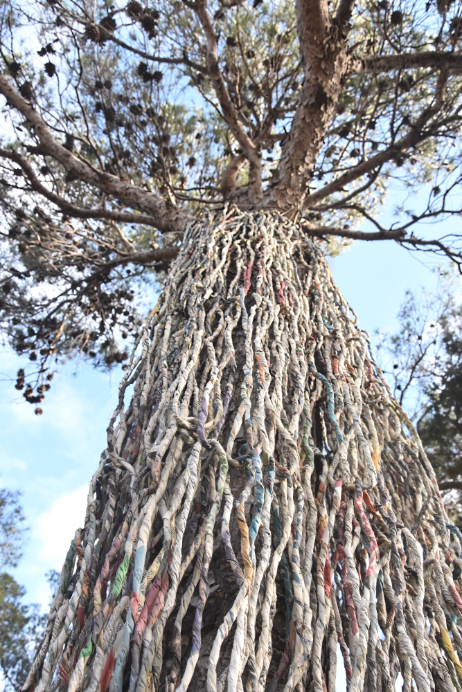 Ivano Vitali - installazione effimera nel giardino di Castiglioncello