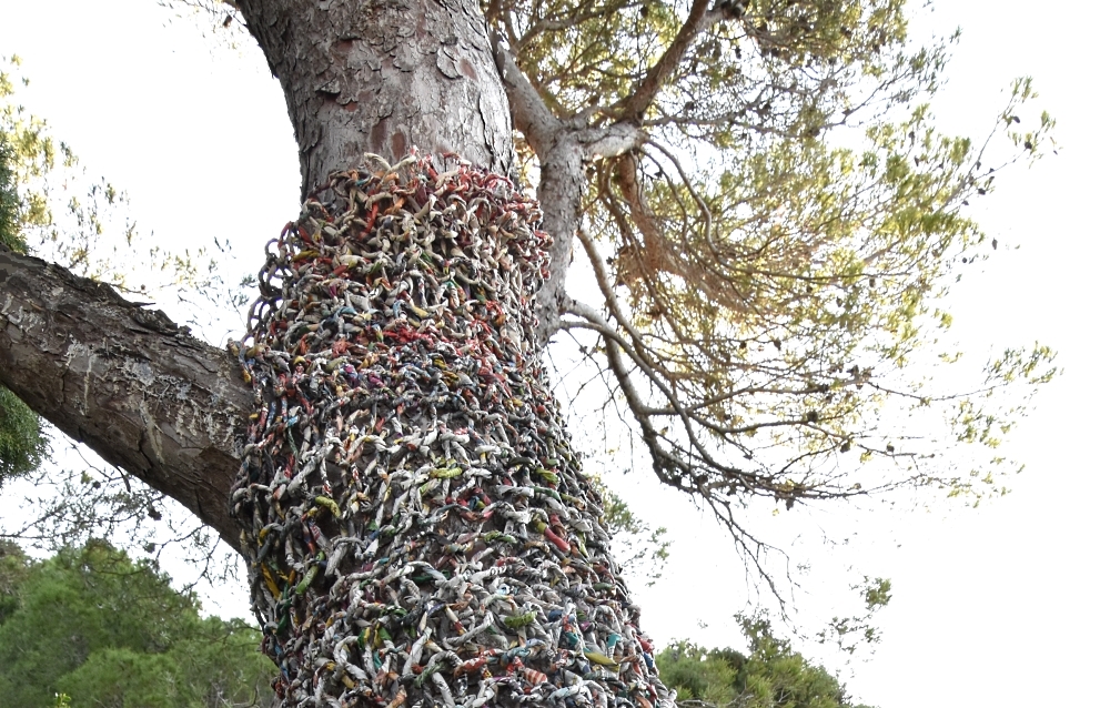 Proteggi gli alberi - Photo by Ivano Vitali