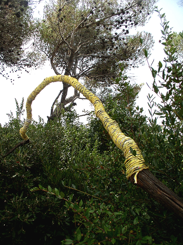Interventi nell'ambiente di Castiglioncello - Photo by Ivano Vitali