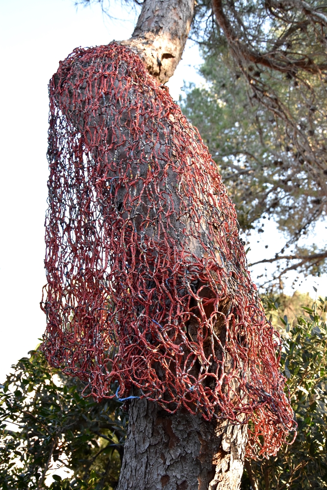 Ivano Vitali - Pino vestito con maglia di carta rossa riciclata - Filo fatto a mano e  lavorato con i ferri da maglia.