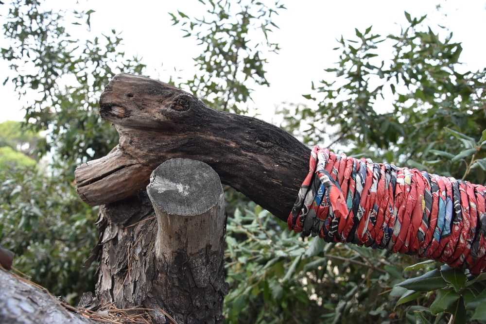 particolare di alberovestito in rosso - Photo by Ivano Vitali
